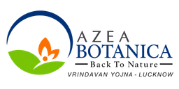 Azea