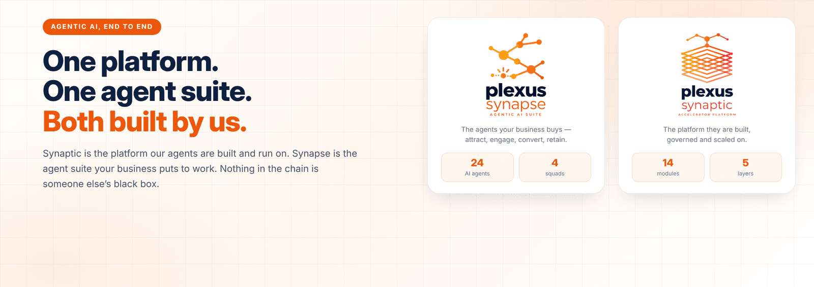 Plexus Synapse & Plexus Synaptic